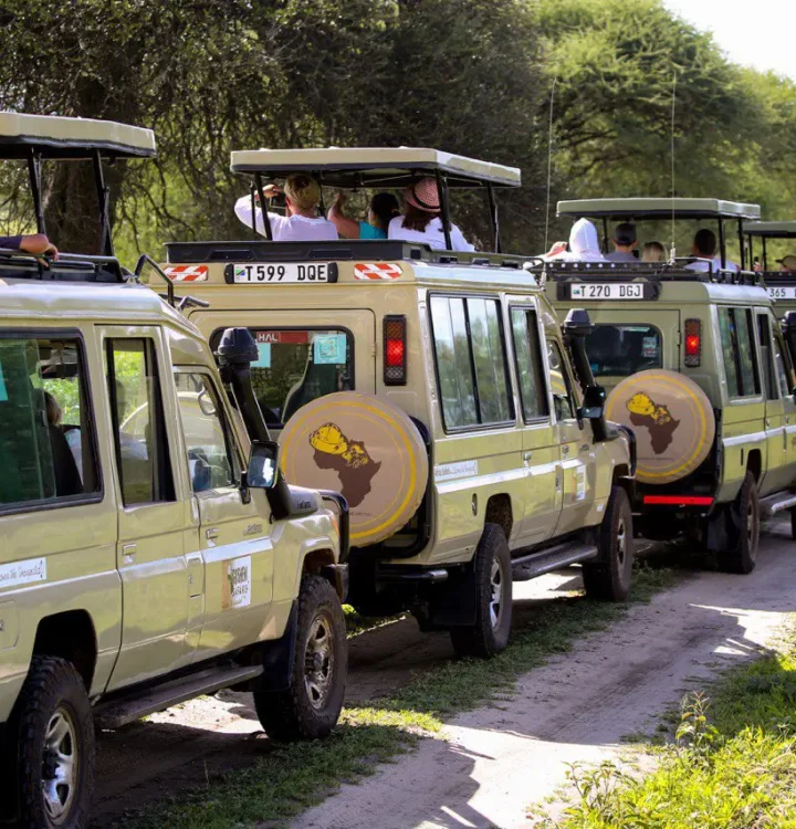 about-gosheni-safaris