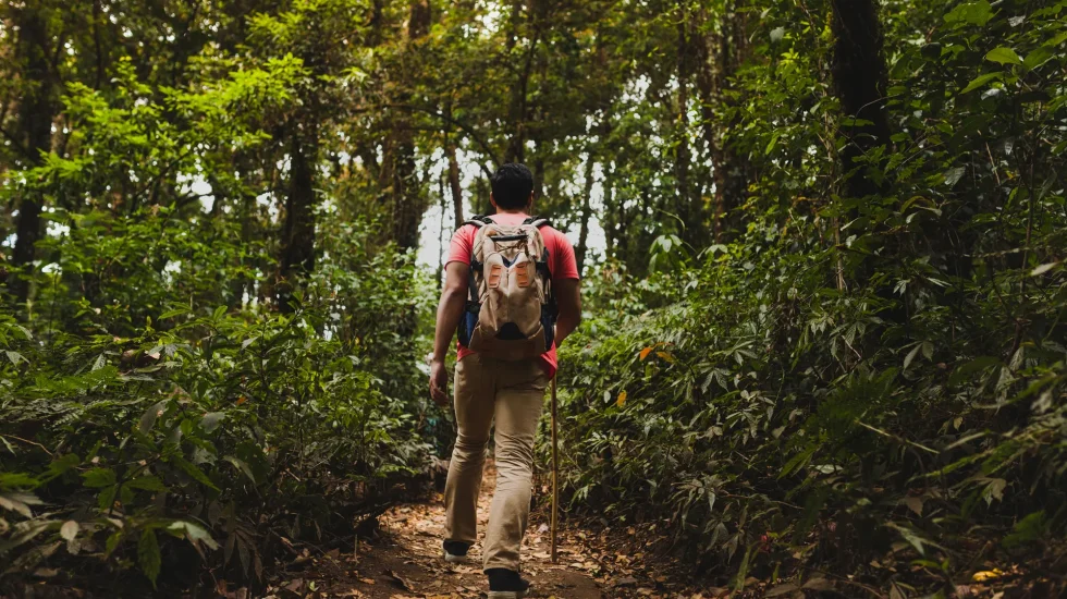 backpacker-hiking-forest