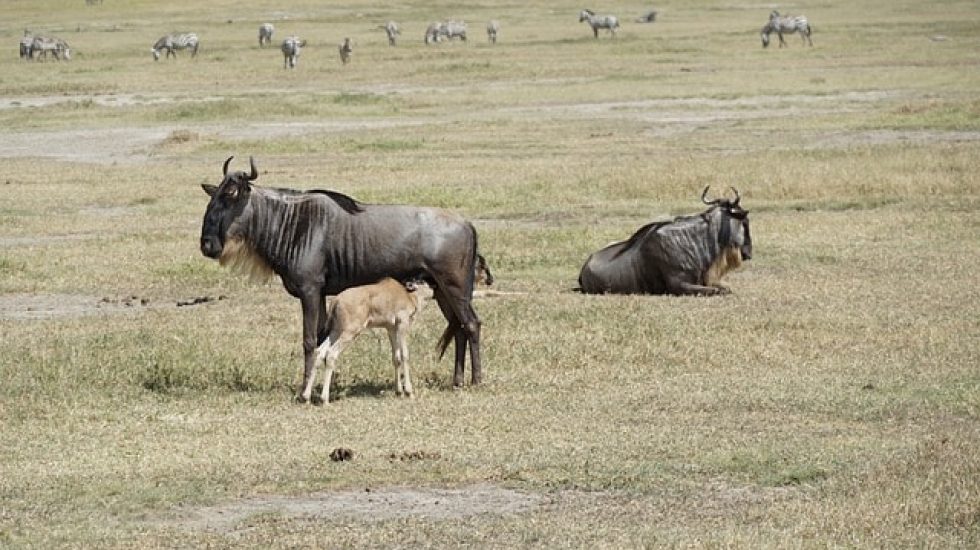 e507b0dc-b87d-4056-bb90-54797ee0ada0