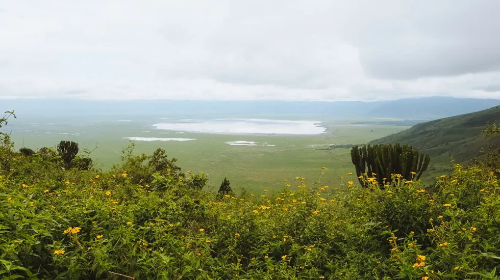 ngorongoro 1