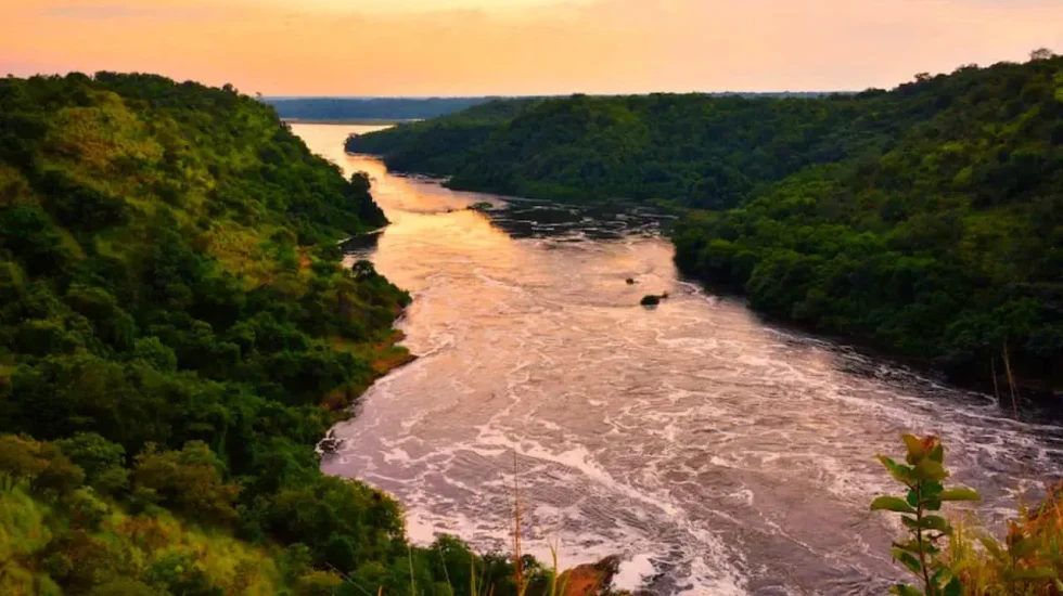 nile-3
