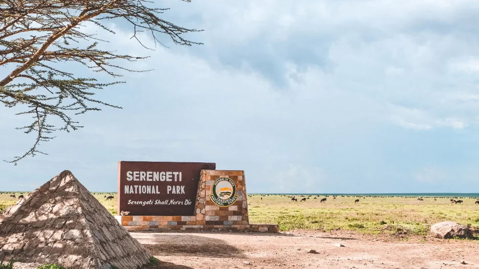serengeti